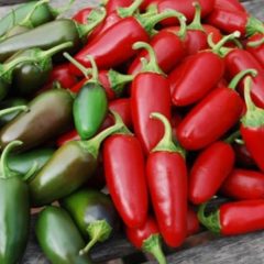 Paprikos